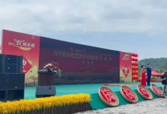 设备租赁LED大屏租赁灯光音响租赁桁架雷亚架搭建